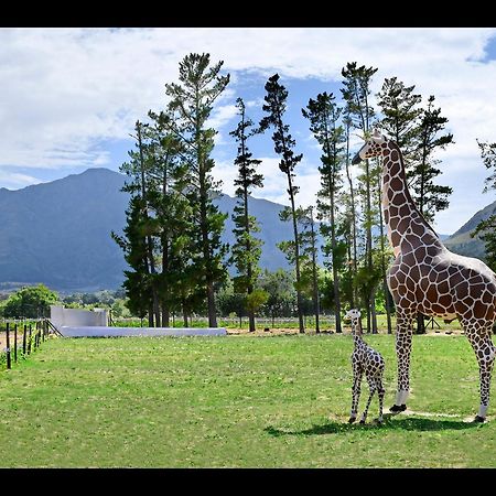Auberge La Dauphine Guest House Franschhoek Luaran gambar