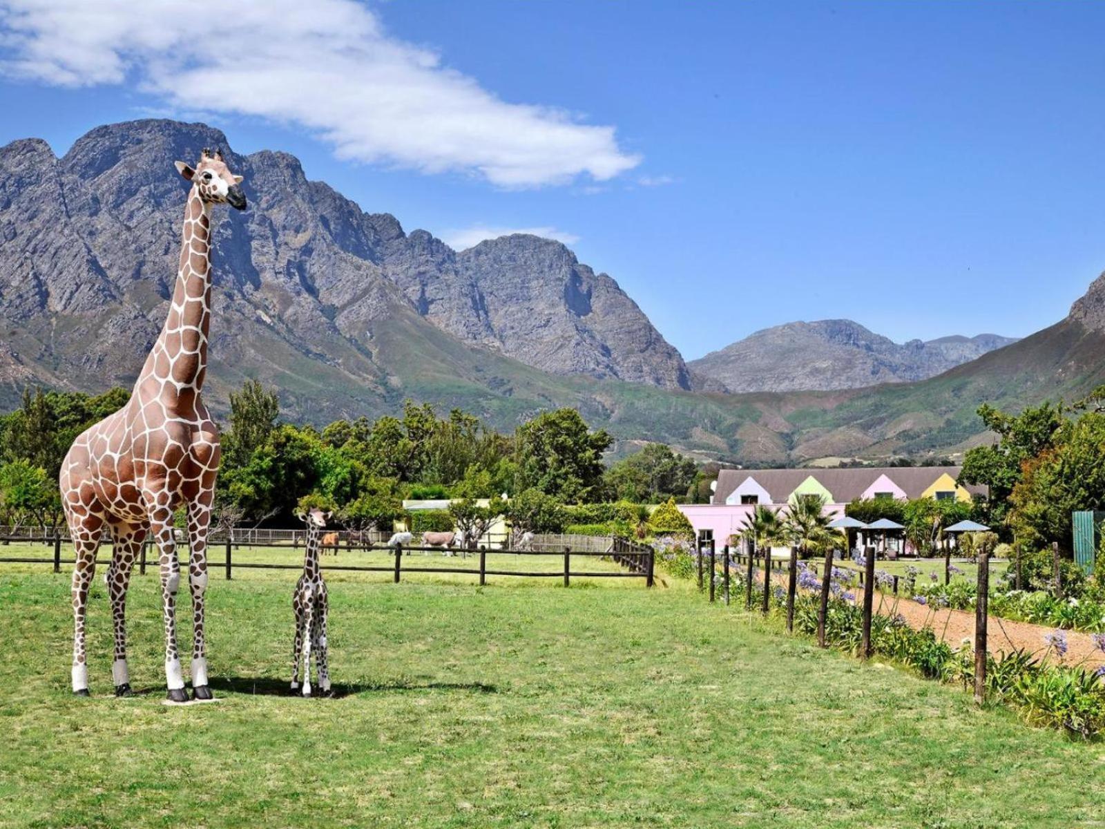Auberge La Dauphine Guest House Franschhoek Luaran gambar