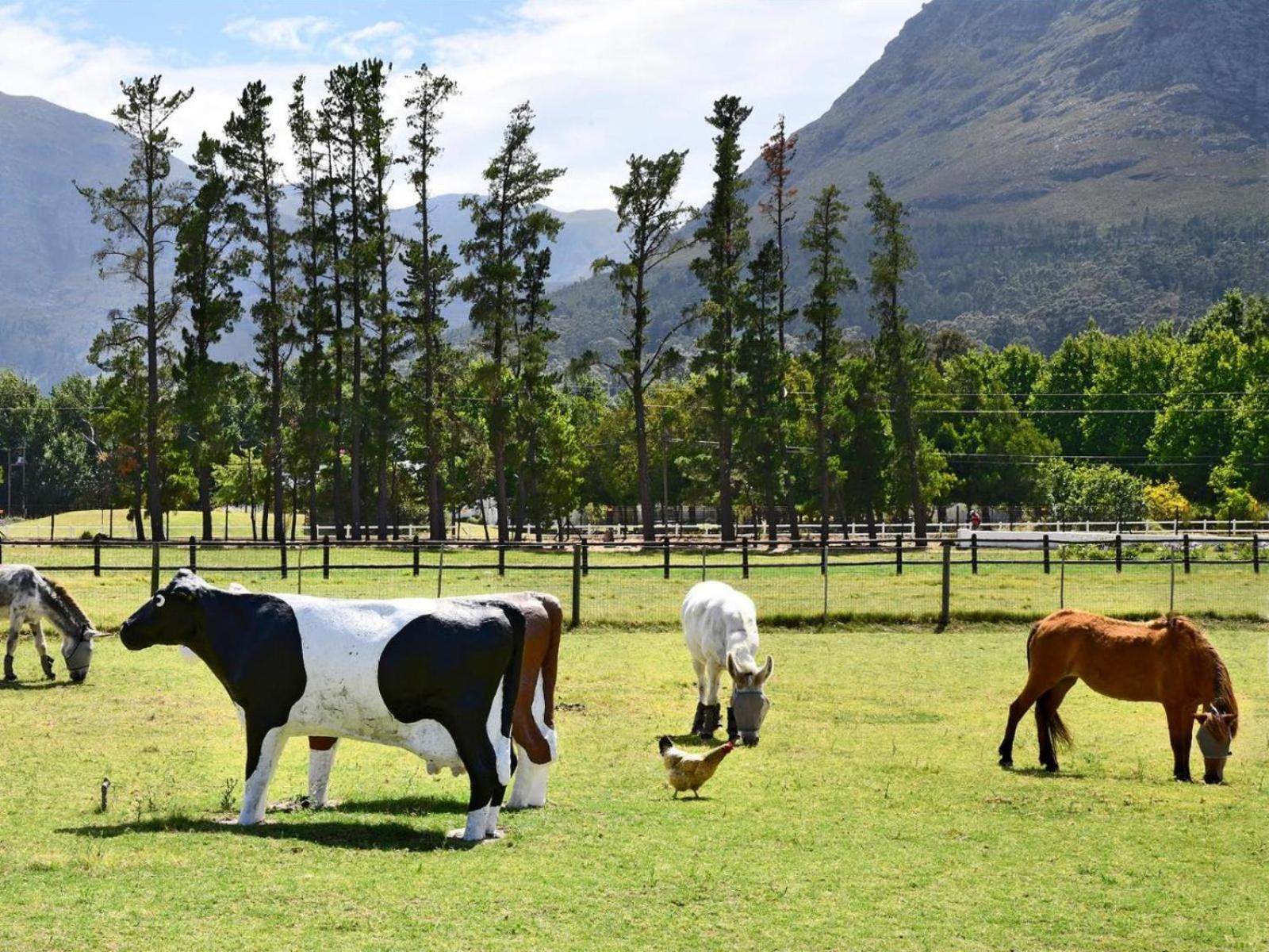 Auberge La Dauphine Guest House Franschhoek Luaran gambar